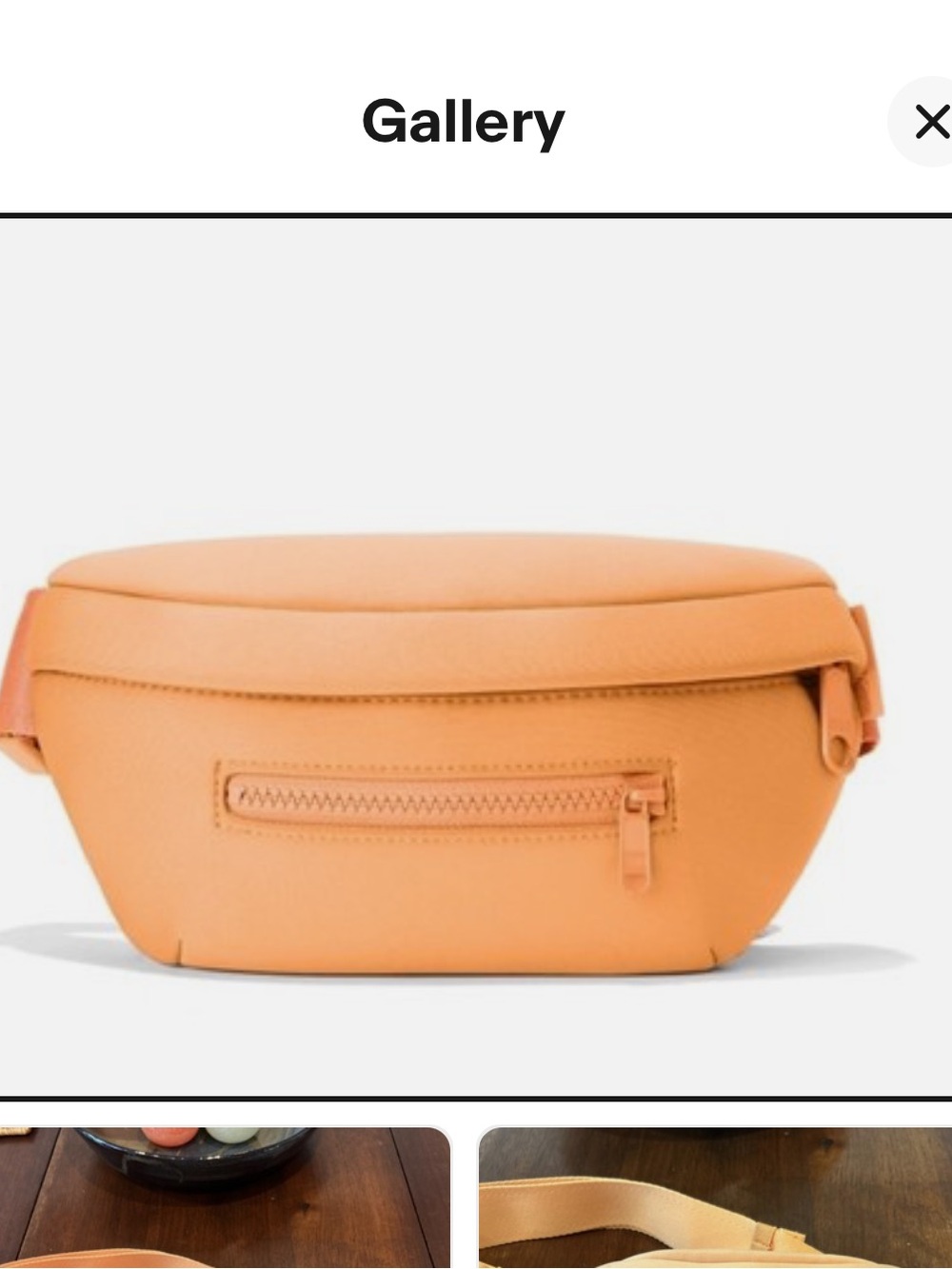 Dagne Dover Ace Fanny Pack in Tangerine Dream